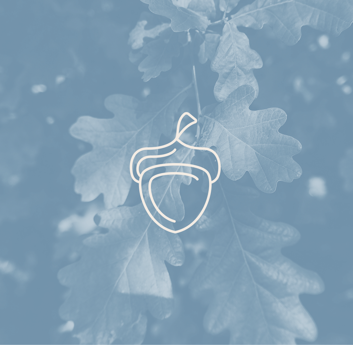 Retail Placeholder 2