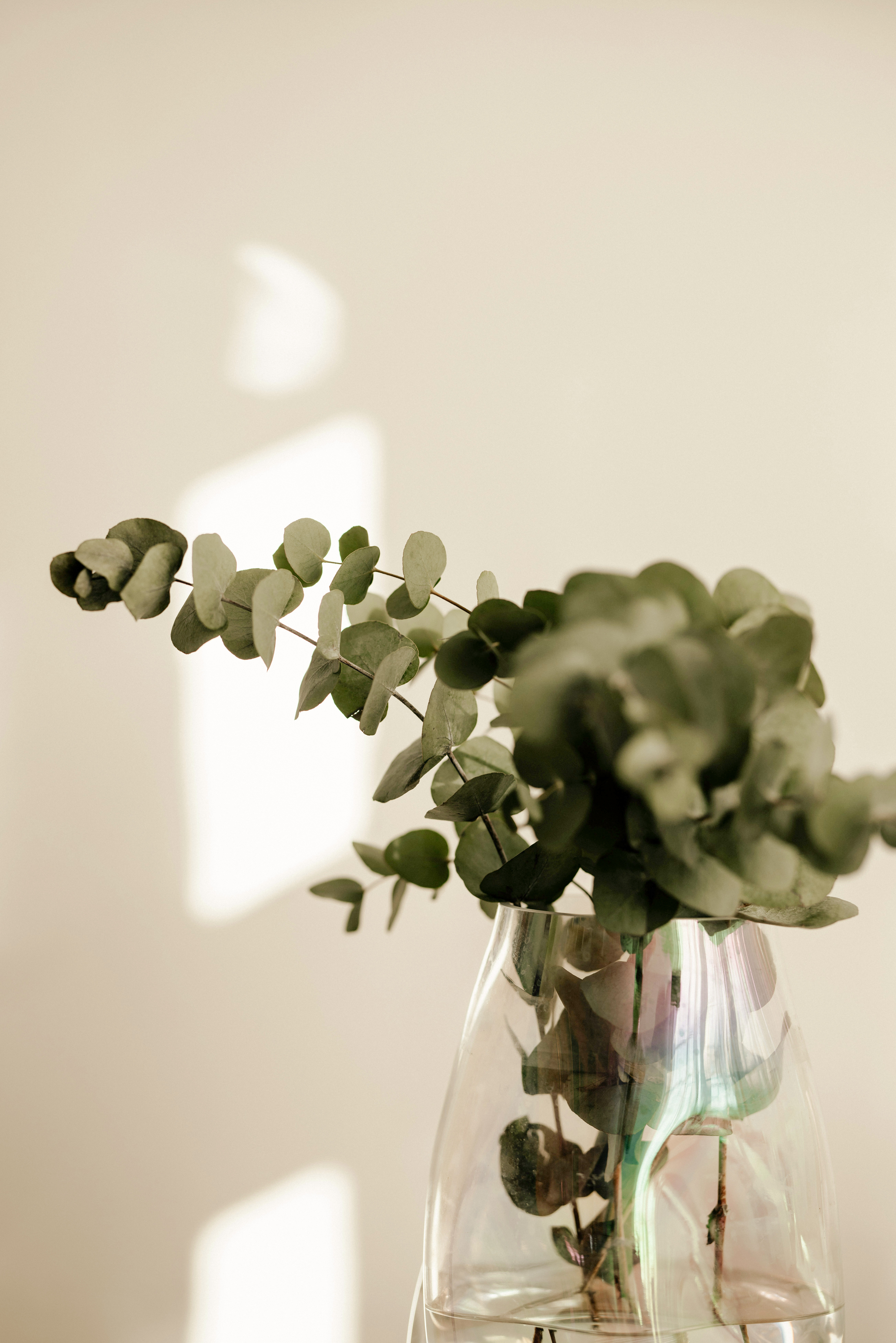 Patrick langwallner s U8h ID1g D7s unsplash 2