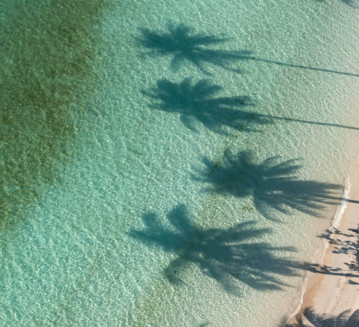 Jerome maas le MC Of8 u JQ unsplash